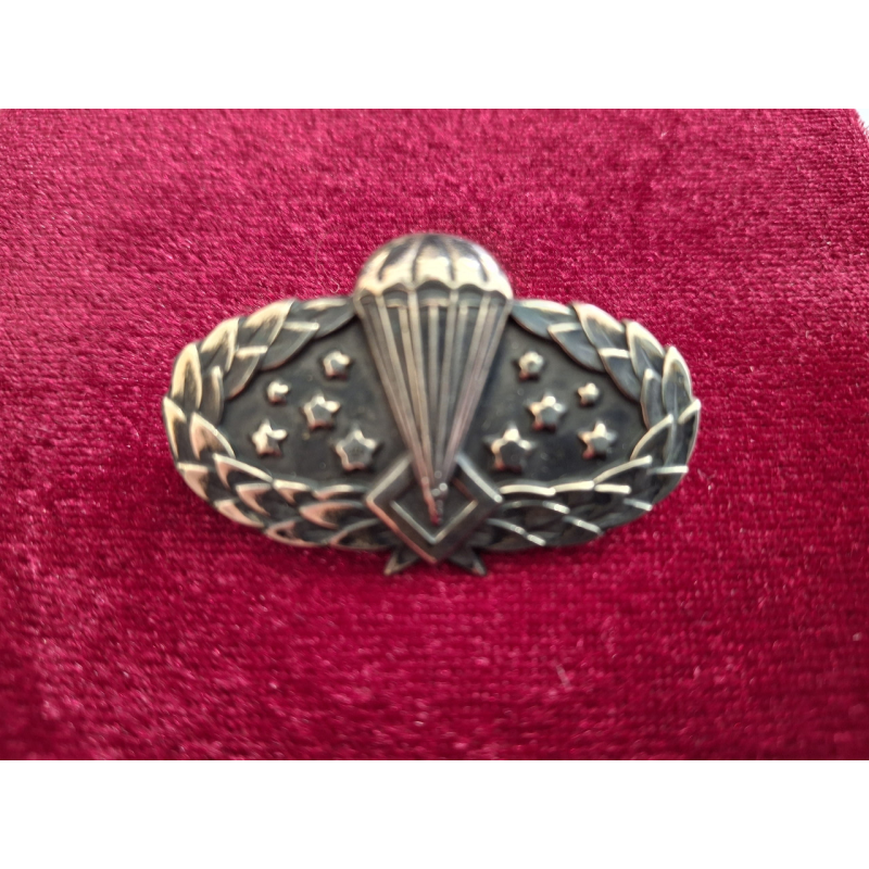 Нагрудний знак Ніч військовослужбовців аеромобільних військ Сухопутних військ ЗС України