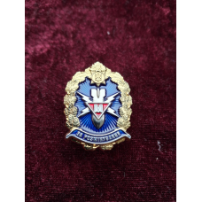 Нагрудний знак За розмінування 1 степені