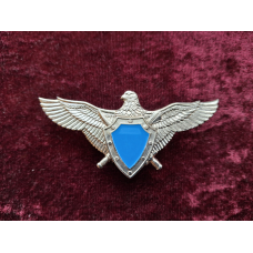Нагрудний знак Класний фахівець льотного складу Військово-Повітряних сил без класу
