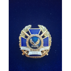 Нагрудний знак спеціальна служба 100 років