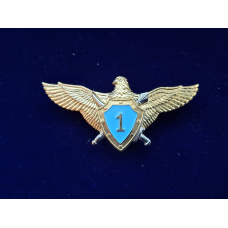 Нагрудний знак Класний спеціаліст льотного складу Військово-Повітряних Сил 1 клас