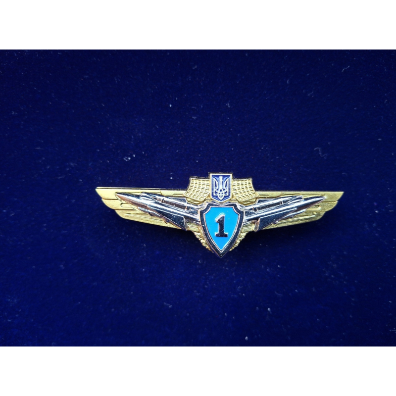 Нагрудний знак Класний фахівець для військовослужбовців частин ПС ЗСУ 1 клас