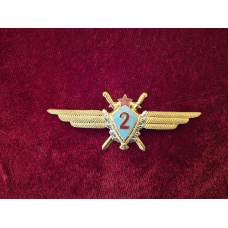 Знак класності льотчик ВПС 2 клас