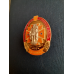 Нагрудний знак За Заслуги Управління МНС України Тернопільська область