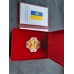 Почесний нагрудний знак За Доброчинність + футляр