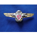 Нагрудний знак Класний фахівець Сухопутні війська ЗСУ 3 клас