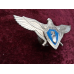 Нагрудний знак Класний фахівець штурман Військово-Повітряних сил без класу