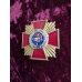 Нагрудний знак спецназ ВВ МВС 1 клас