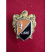 Нагрудний знак 101 Окремої Бригади Охорони Генерального Штабу